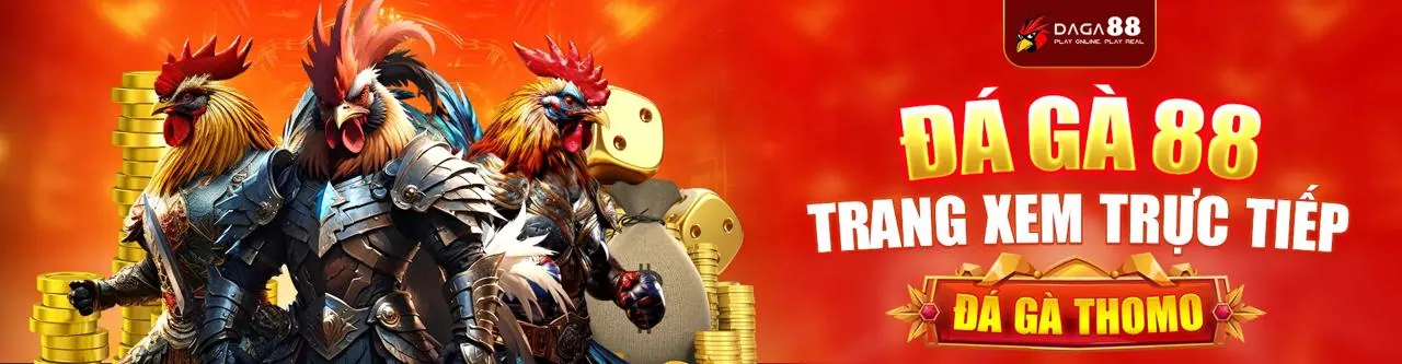 Đấu trường đá gà trực tuyến sôi động tại cwin06 app